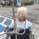 감당농장 이미지