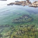 연동어촌체험마을 이미지