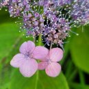 한옥민박 이미지