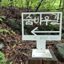 늘푸른계곡 이미지