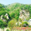 신청평주유소 이미지