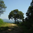 담안농장 이미지