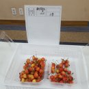 덕화 농장 이미지