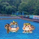 영인산자연휴양림 숲속야영장 이미지