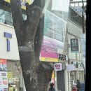 보윤약국 이미지