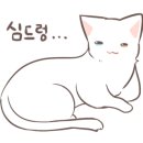 라꼼제이