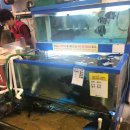 대운상회 이미지