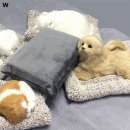 러블리펫 이미지