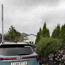 소보리애 이미지