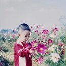 서울우이초등학교 이미지