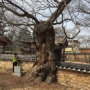 소천초등학교임기분교장 이미지