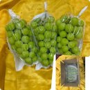 희망농장2 이미지