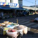 백중약국 Daum카페
