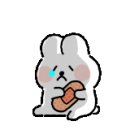 도담도담동물병원 네이버블로그