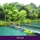 언제나소돌 | 강릉 풀빌라 언제나소돌에서 여름 바다를 만끽한 후기