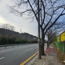 솔밭가든 이미지