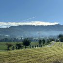 네바퀴카서비스 이미지