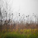 산너머남촌에는 이미지