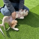 원묵초등학교 이미지