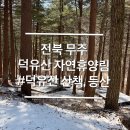 자연으로 | 무주여행 덕유산 자연휴양림 산책로 방문 후기