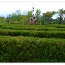 이슬공원 이미지