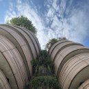 건축사사무소 하이브 이미지