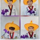신세계 태권도 네이버블로그