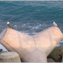 경주상사 이미지