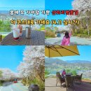 삼회리 강변 자전거길 | 가평드라이브코스 삼회리벚꽃길 실시간 가평마이다스호텔 카페