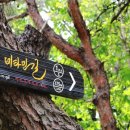 부평구 비타민길 이미지