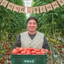 토마토 이미지