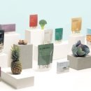 현대에프앤씨 이미지