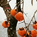 백세시대 이미지