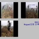 만석성결교회 이미지