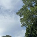 세븐일레븐초당점 | [북촌카페/삼청동카페] 빙수맛집 부빙에서 초당옥수수빙수 내돈내산 솔직후기