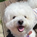 화원연합동물병원 이미지