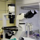 부산의료관광안내센터 | 부산 의료센터 분석 (치료분야, 환자 후기, 의료진 평판)