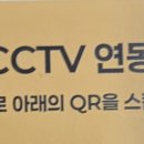 강남 고양이 호텔 미용 츄캣 이미지