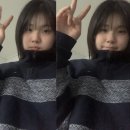 성실이발관 | 조 블랙의 사랑