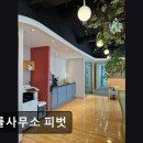 법률사무소피벗