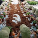 친환경 화분 만들기 이미지