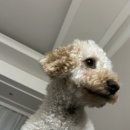 달콤체육관 이미지