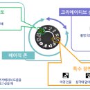 DSLR존 이미지