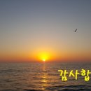쁘띠아 이미지