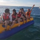 올인원투어 이미지