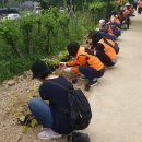 안양천 산책로 이미지