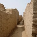 박성진치과 | 286. 뚱가랏따