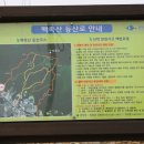 상야1리 이미지