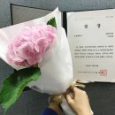 예솜기획 네이버블로그