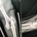 조형선외과동물병원 이미지